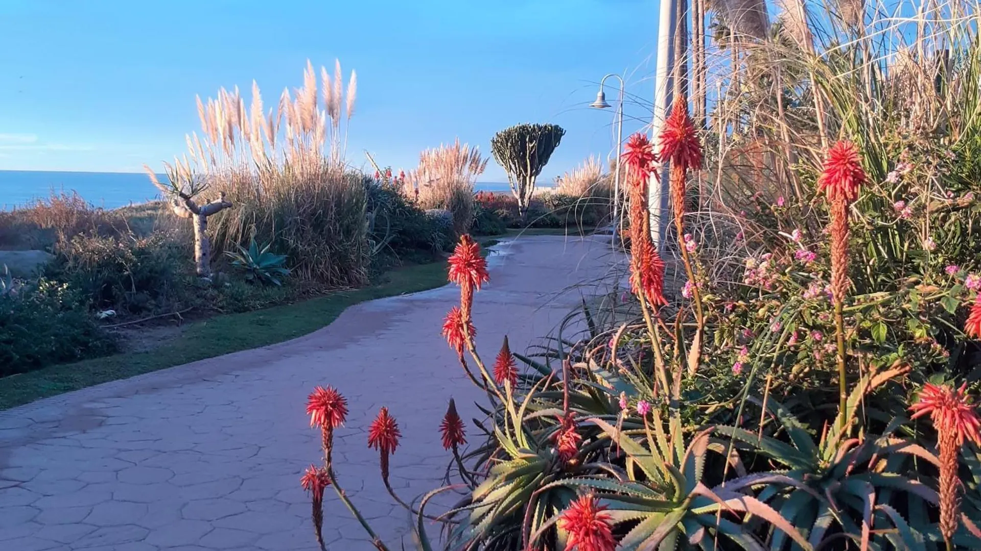 Relaxing Beach Side Apartment In Costalita location
